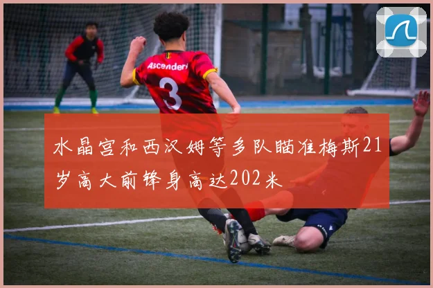水晶宫和西汉姆等多队瞄准梅斯21岁高大前锋身高达202米
