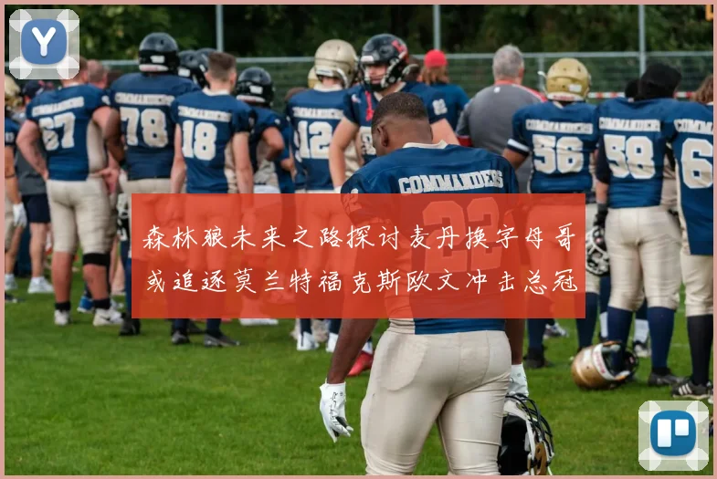 森林狼未来之路探讨麦丹换字母哥或追逐莫兰特福克斯欧文冲击总冠军